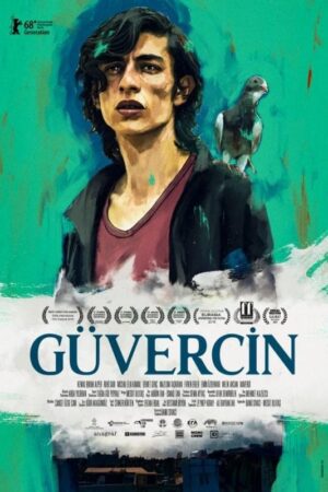 Güvercin