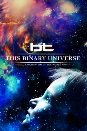 BT - This Binary Universe