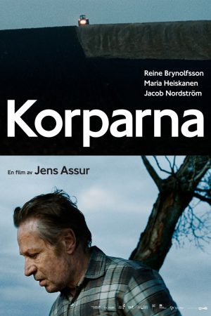 Korparna