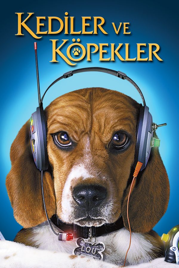 Kediler ve Köpekler